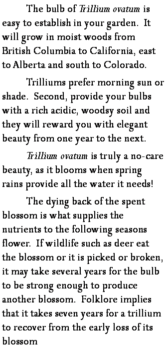 trillium ovautm care